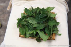野菜