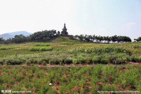 四季花田