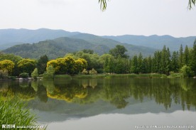 植物园风景