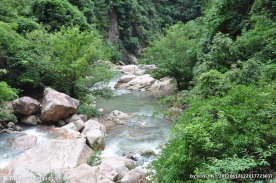 小溪水