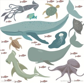 海底世界海洋生物