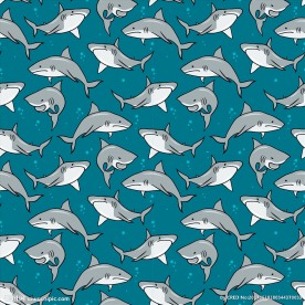 大白鲨鲨鱼矢量图下载