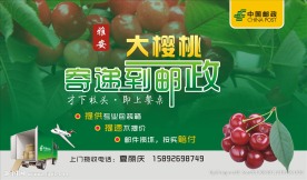 邮政鲜果快递