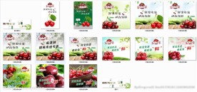大樱桃朋友圈