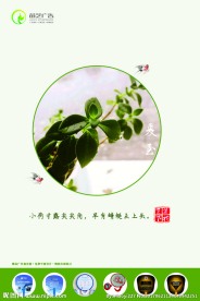 夏至 广告 海报