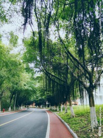 大学校园