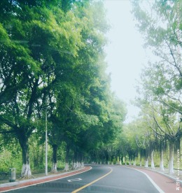 大学校园