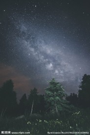 森林星空