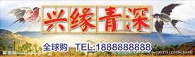 店招设计