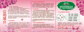 DDS生物电