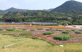 四季花田