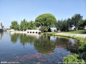 公园风景
