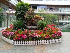 花盆盆景
