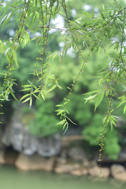 长汀古城