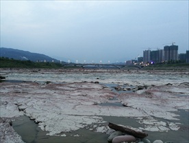 河床
