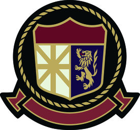 丝带横幅盾牌狮子矢量图下载