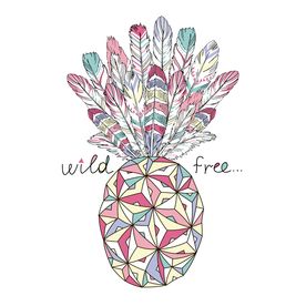 羽毛菠萝矢量图