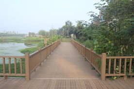 河边走道