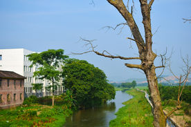 河岸