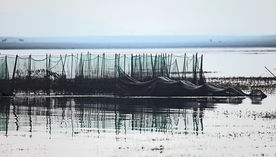 闪电湖