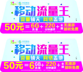 移动流量王