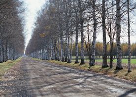 乡间道路