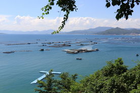 海产养殖基地