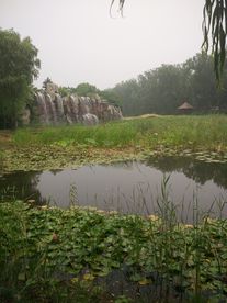 红荷湿地