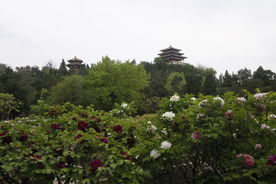 景山风景
