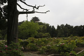 景山风景