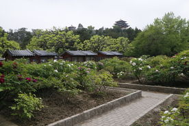 景山风景