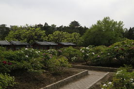 景山风景