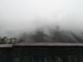 墙外雾