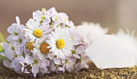 手捧花