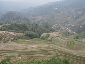 金坑梯田
