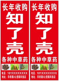 知了壳