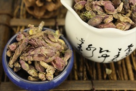 款冬花