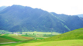大山与草地