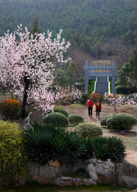 入画来