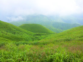 青山