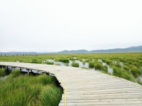 若尔盖 花湖