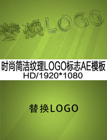 时尚简洁纹理LOGO演义模板