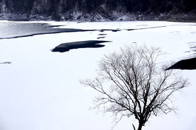 冬雪