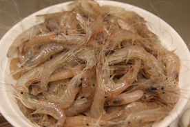 小白虾