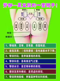 臀部穴位