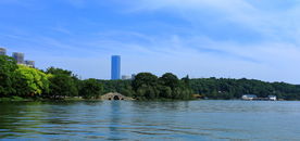 公园湖景