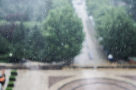 雨中