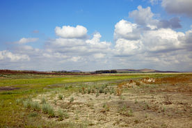 二卡湿地自然保护区