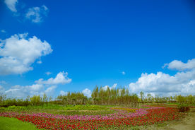 二卡湿地自然保护区