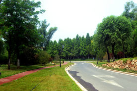 道路风景